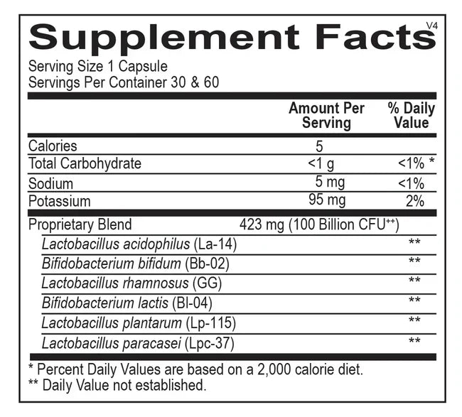 High Potency Probiotic Supplement | Digestive & Gut Health Support | Daily Probiotic Capsules